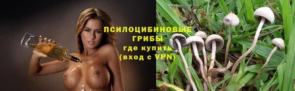 молекула духа Лабытнанги