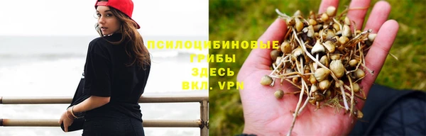 молекула духа Лагань