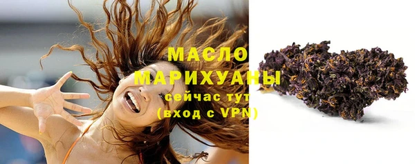 молекула духа Лабытнанги